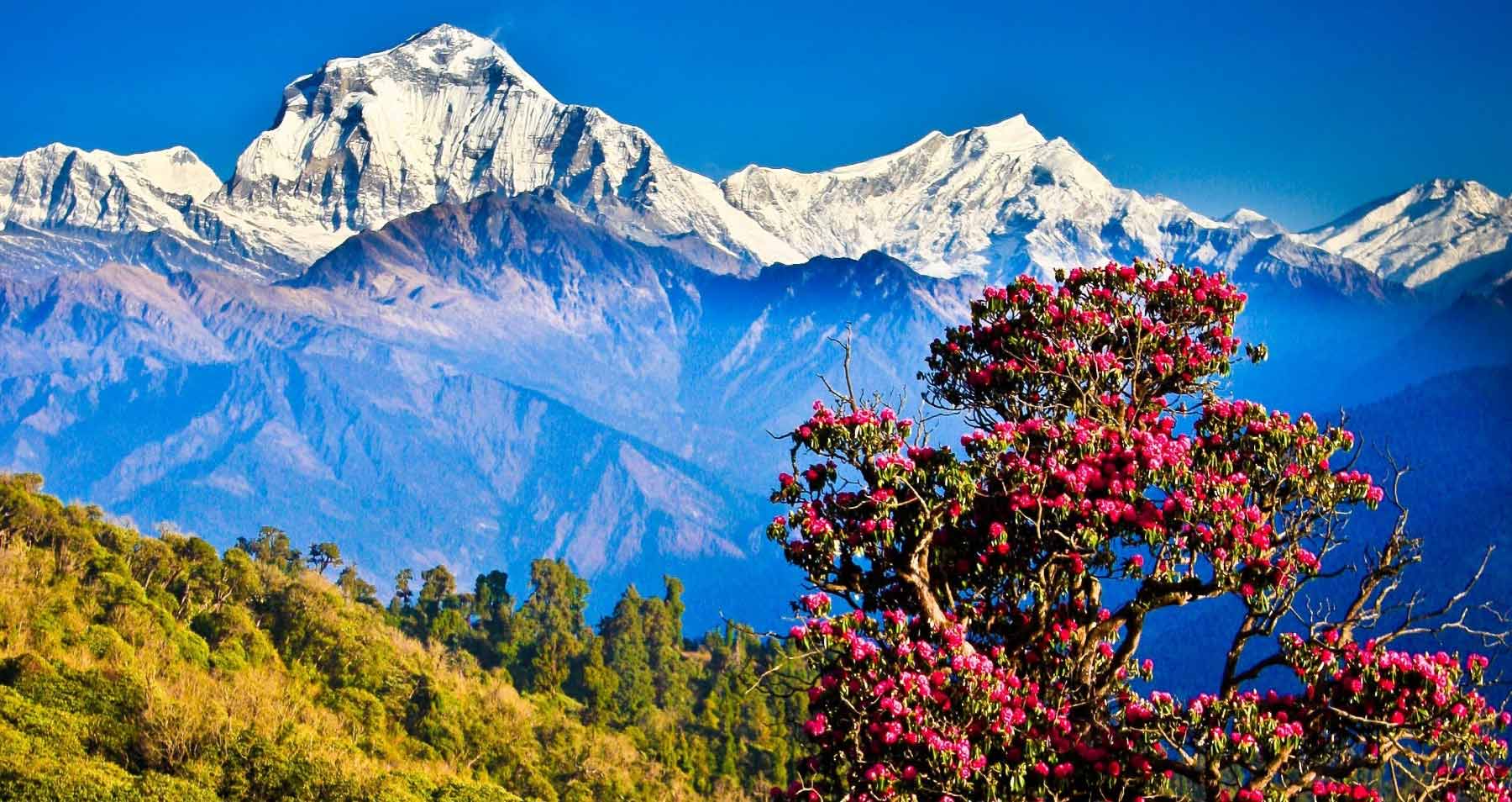 travels and tours nepal